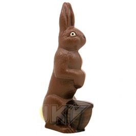 rabbit with basket