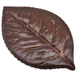 cocoa leaf