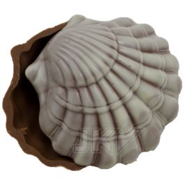 oister shell