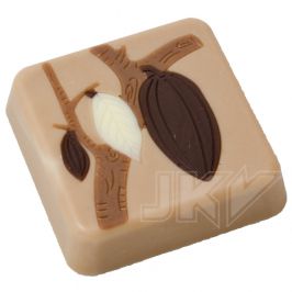 square, cacao-bean